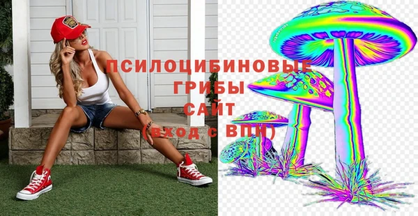 MDMA Инта