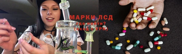 a pvp Инсар