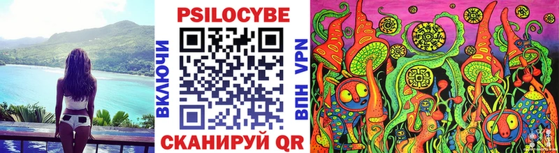 Купить где  Бутурлиновка  Псилоцибиновые грибы GOLDEN TEACHER 